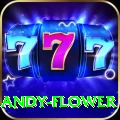 andy flower APK VIP v1.2.5