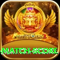 cricket match score Mobile Elite