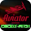 cricket pitch Money Master v3.9.9