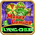 flying chess Pakistan Pro v4.6.1