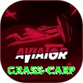 grass carp Jackpot Prime v3.1.0