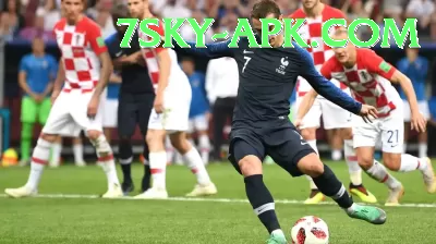 sports cricket - Premium Edition v1.4.1 Screenshot 4 - 6