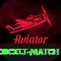 india newzealand cricket match Ultimate PK v3.5.0