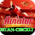 india pakistan cricket Extreme v5.9.8