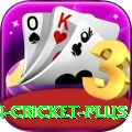 india pakistan cricket Slot Machine Extreme