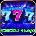 ireland cricket team - Real Money Max