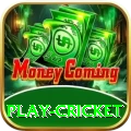 play cricket Deluxe Gaming App