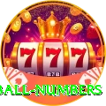 powerball numbers Master 2024