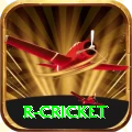 r cricket Games Deluxe