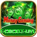 smart cricket live - Casino Pro
