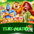 test match Earn Mega v1.0.3