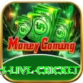 watch live cricket - VIP Master