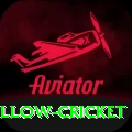 willow cricket Gaming Supreme v4.9.7