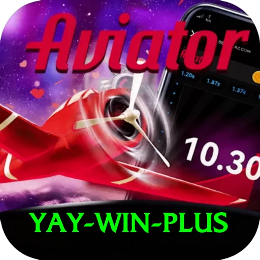 Yay Win VIP Pro v5.6.5 - 2